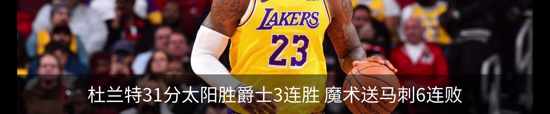 新闻动态